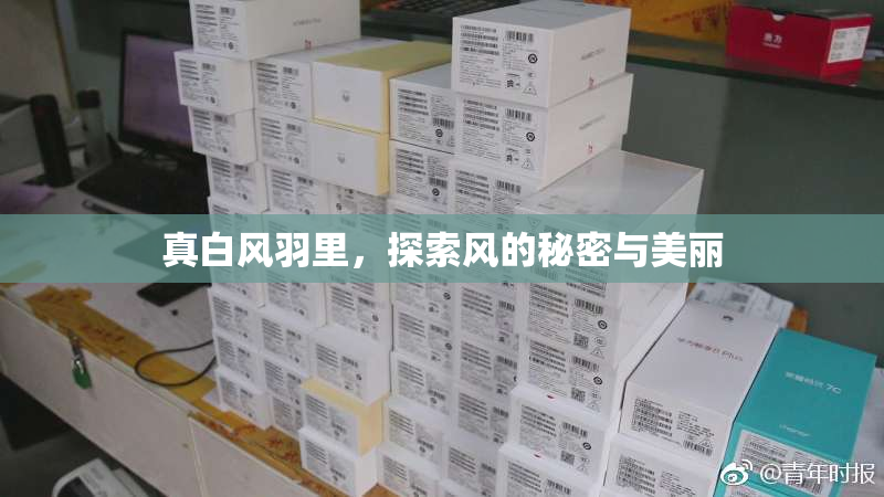 真白风羽里，探索风的秘密与美丽