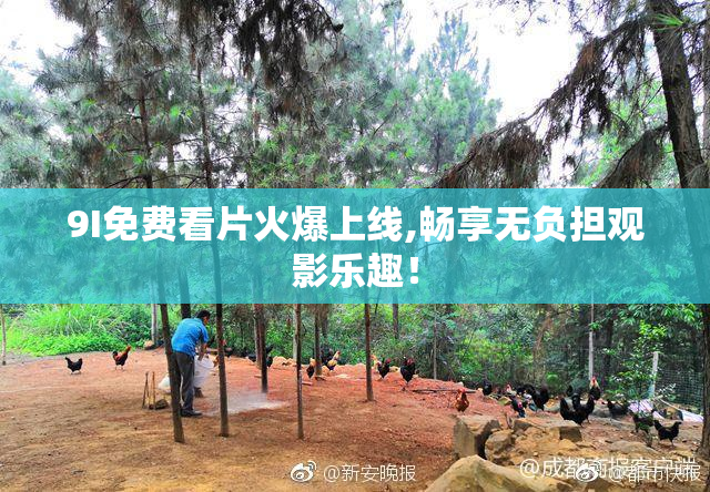 9I免费看片火爆上线,畅享无负担观影乐趣！