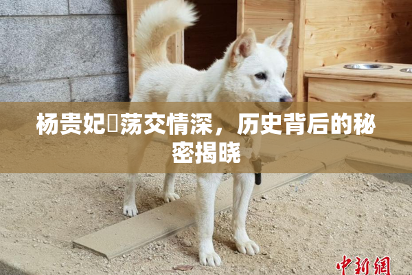 杨贵妃婬荡交情深，历史背后的秘密揭晓