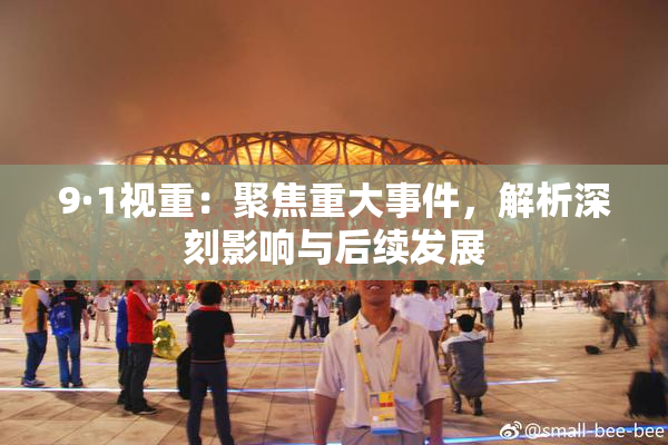 9·1视重：聚焦重大事件，解析深刻影响与后续发展