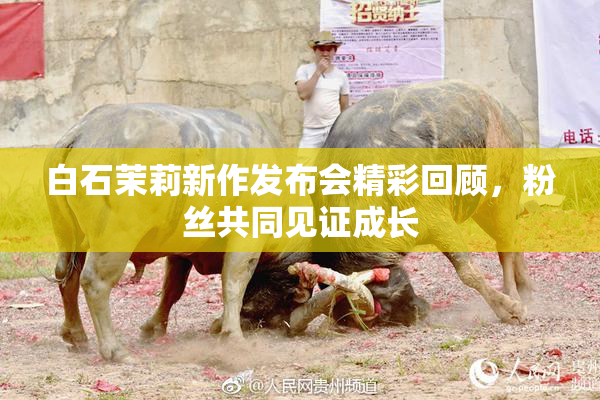 白石茉莉新作发布会精彩回顾，粉丝共同见证成长