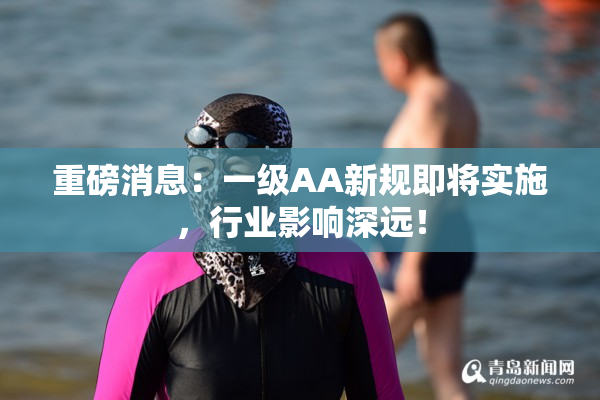 重磅消息：一级AA新规即将实施，行业影响深远！