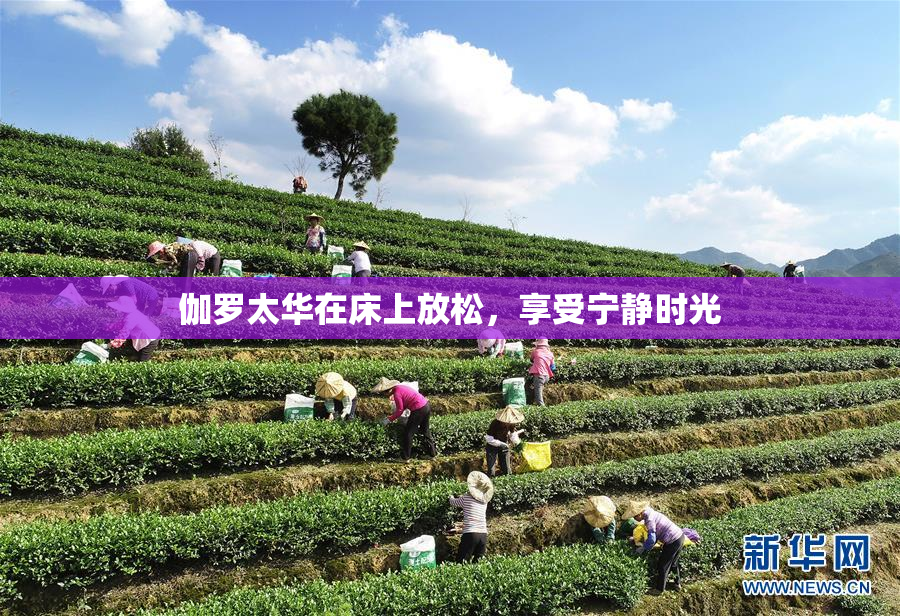 伽罗太华在床上放松，享受宁静时光