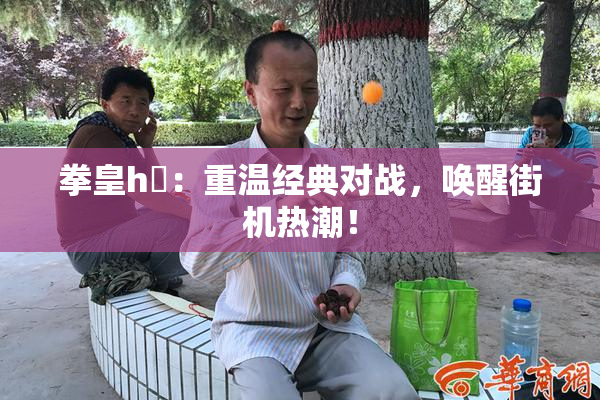 拳皇h婬：重温经典对战，唤醒街机热潮！
