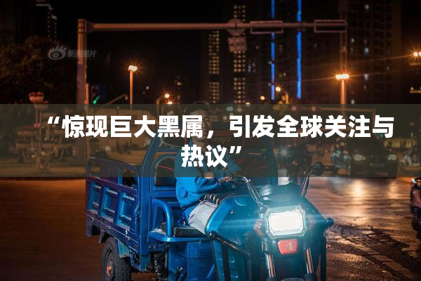 “惊现巨大黑属，引发全球关注与热议”
