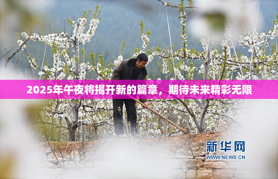 2025年午夜将揭开新的篇章，期待未来精彩无限