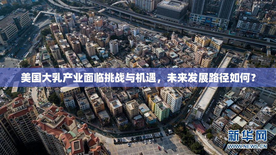 美国大乳产业面临挑战与机遇，未来发展路径如何？