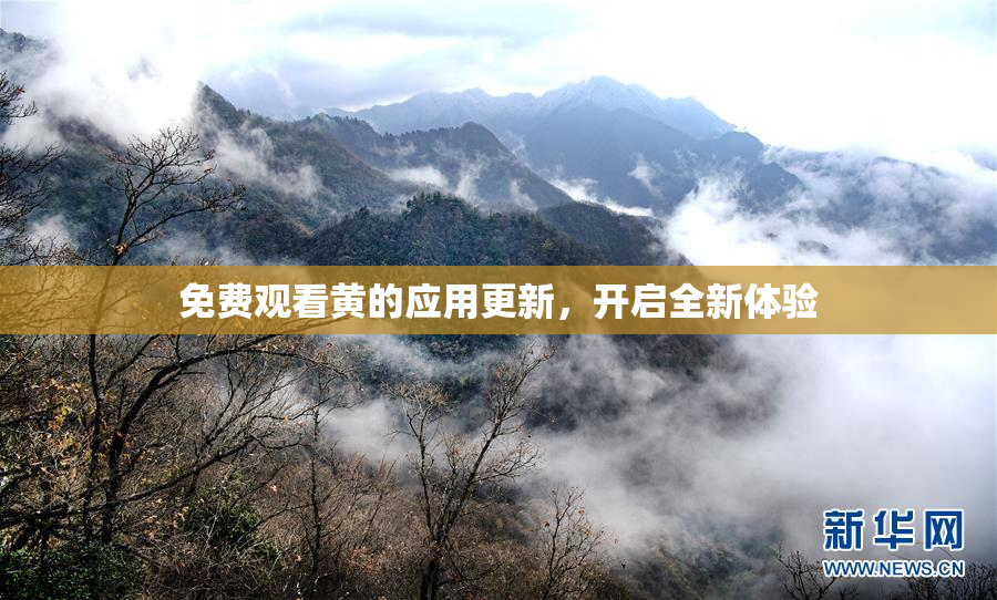 免费观看黄的应用更新，开启全新体验