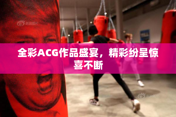 全彩ACG作品盛宴，精彩纷呈惊喜不断
