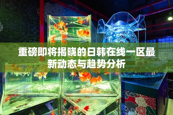 重磅即将揭晓的日韩在线一区最新动态与趋势分析