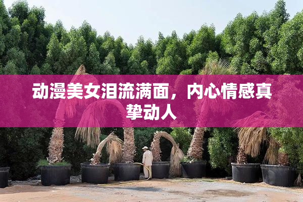 动漫美女泪流满面，内心情感真挚动人