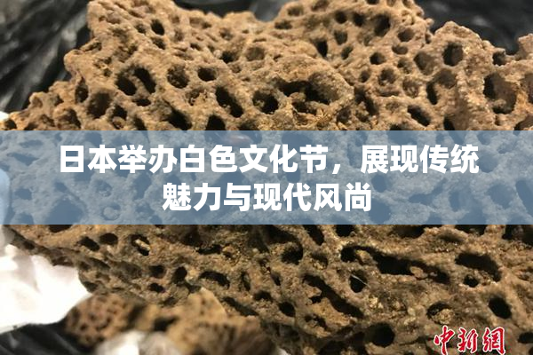日本举办白色文化节，展现传统魅力与现代风尚