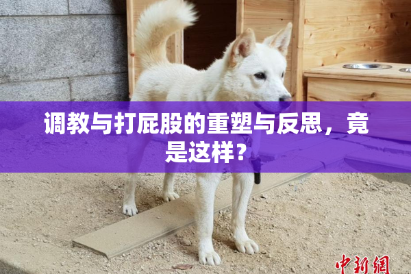 调教与打屁股的重塑与反思，竟是这样？