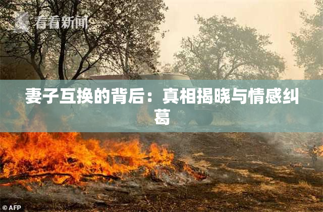妻子互换的背后：真相揭晓与情感纠葛