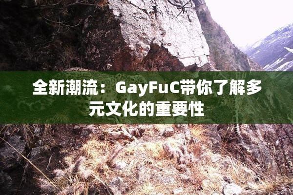 全新潮流：GayFuC带你了解多元文化的重要性