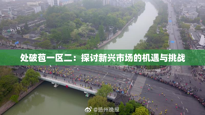 处破苞一区二：探讨新兴市场的机遇与挑战