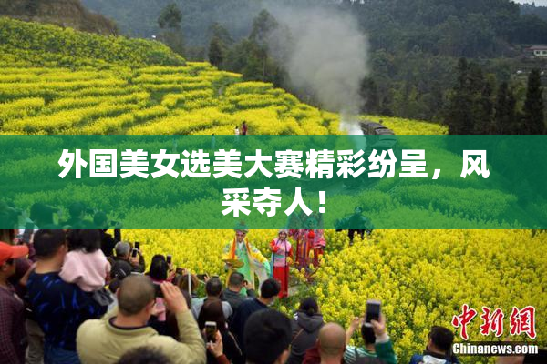 外国美女选美大赛精彩纷呈，风采夺人！