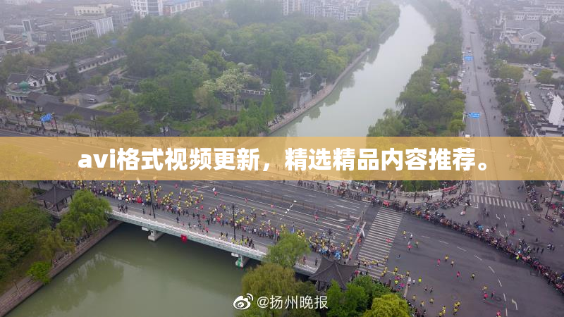 avi格式视频更新，精选精品内容推荐。