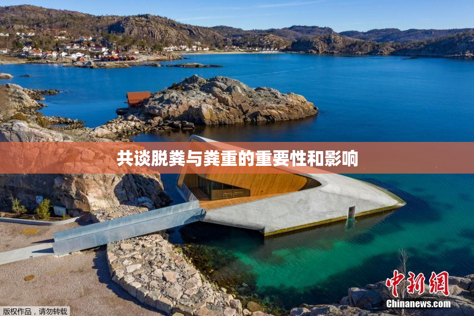 共谈脱粪与粪重的重要性和影响
