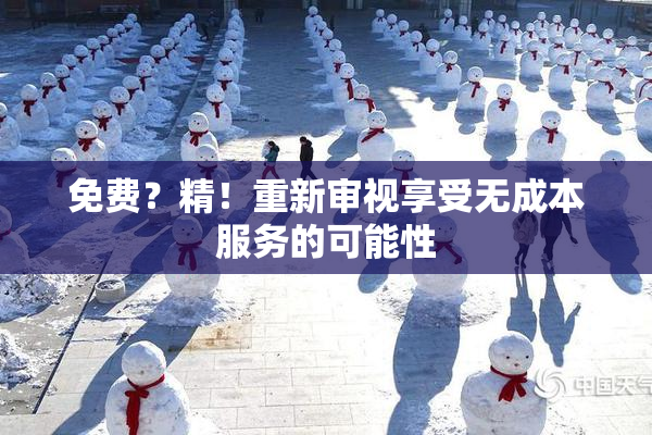 免费？精！重新审视享受无成本服务的可能性