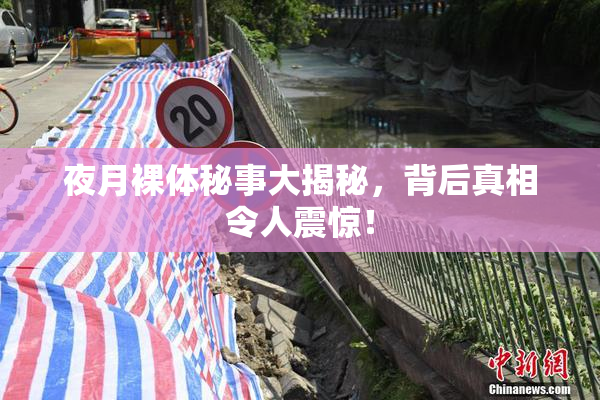 夜月裸体秘事大揭秘，背后真相令人震惊！