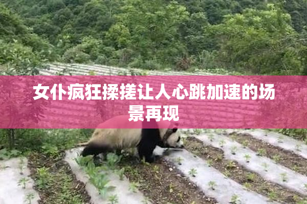 女仆疯狂揉搓让人心跳加速的场景再现