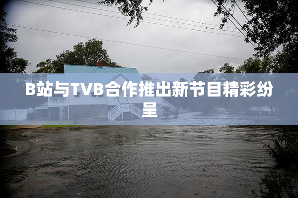 B站与TVB合作推出新节目精彩纷呈
