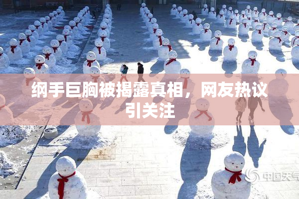 纲手巨胸被揭露真相，网友热议引关注