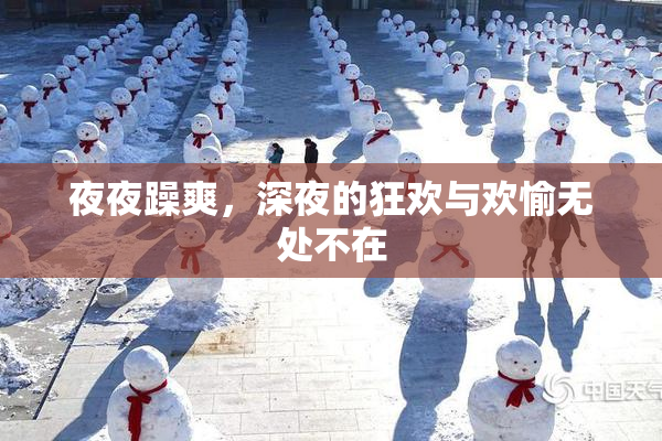 夜夜躁爽，深夜的狂欢与欢愉无处不在