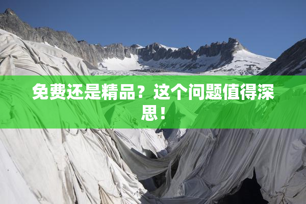 免费还是精品？这个问题值得深思！