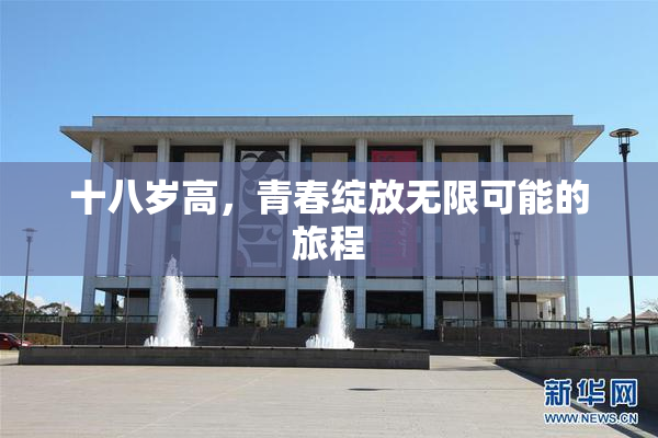 十八岁高，青春绽放无限可能的旅程