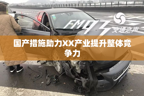 国产措施助力XX产业提升整体竞争力