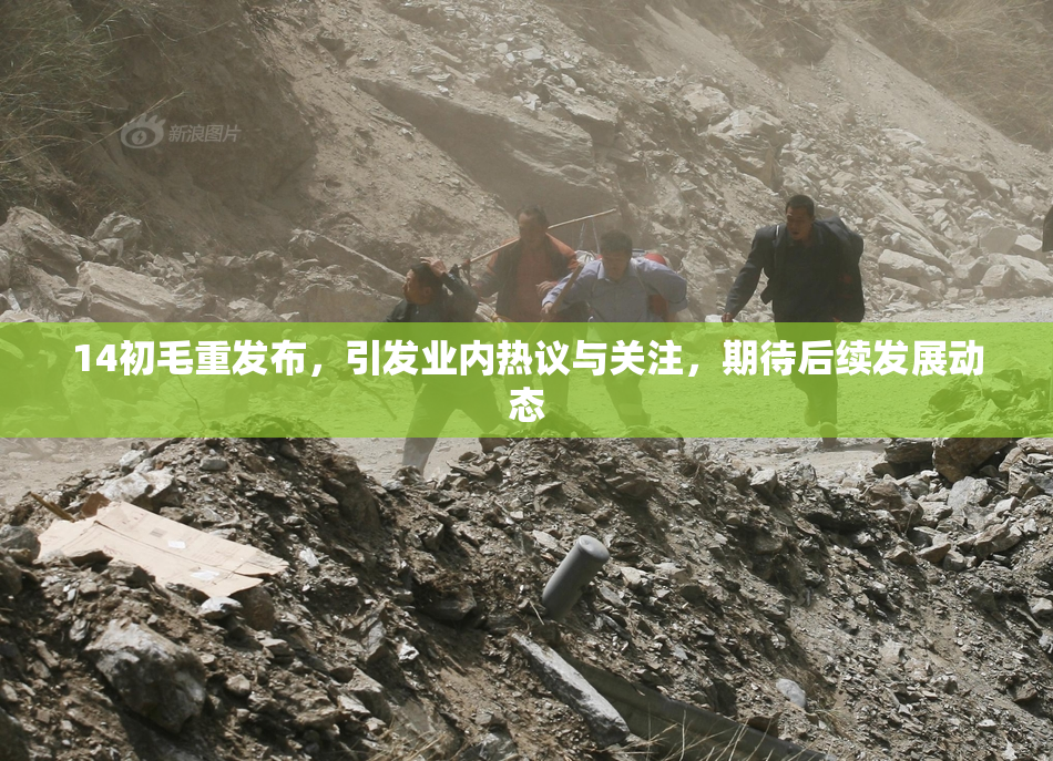 14初毛重发布，引发业内热议与关注，期待后续发展动态
