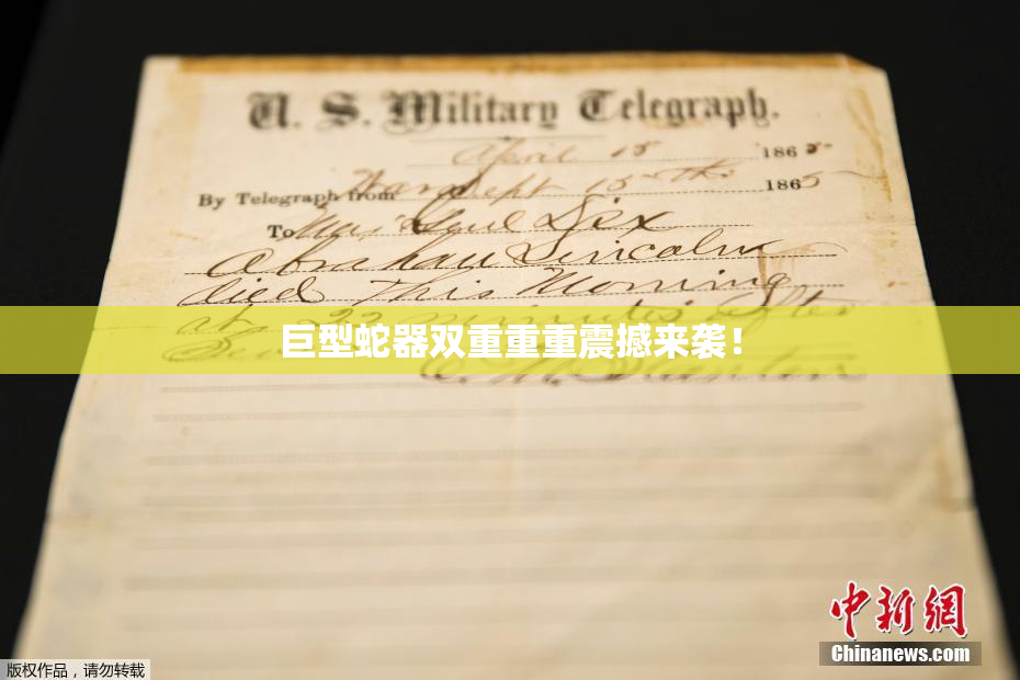 巨型蛇器双重重重震撼来袭！