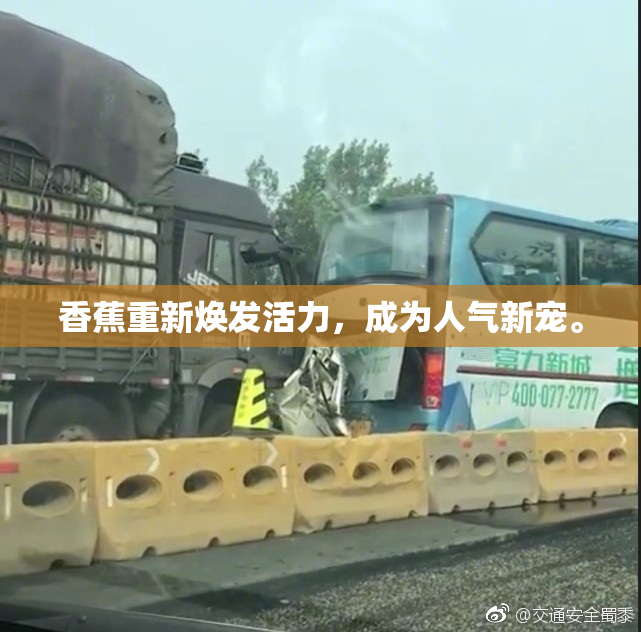 香蕉重新焕发活力，成为人气新宠。
