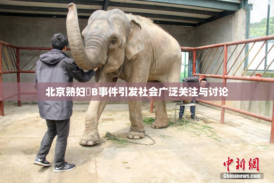北京熟妇槡B事件引发社会广泛关注与讨论
