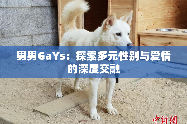 男男GaYs：探索多元性别与爱情的深度交融