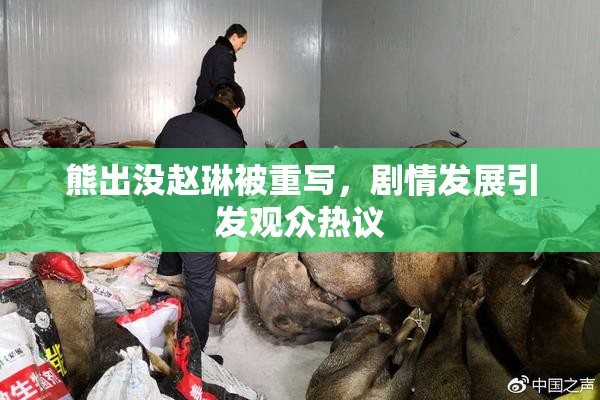 熊出没赵琳被重写，剧情发展引发观众热议