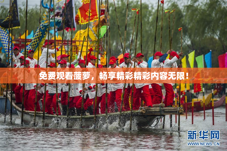 免费观看菠萝，畅享精彩精彩内容无限！