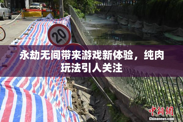 永劫无间带来游戏新体验，纯肉玩法引人关注