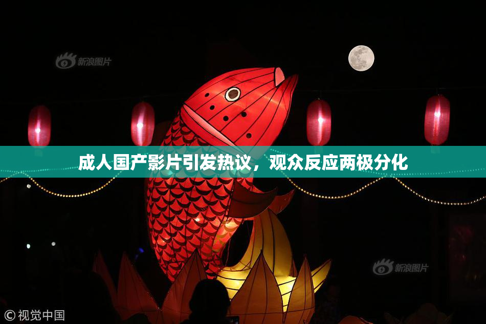 成人国产影片引发热议，观众反应两极分化