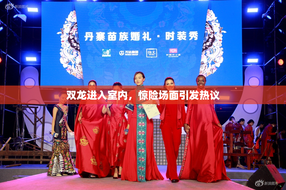 双龙进入室内，惊险场面引发热议
