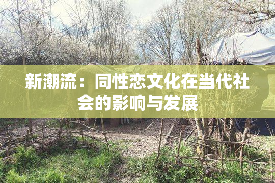 新潮流：同性恋文化在当代社会的影响与发展