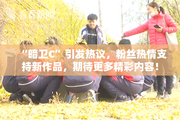 “暗卫C”引发热议，粉丝热情支持新作品，期待更多精彩内容！