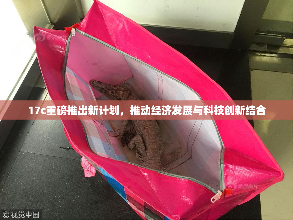 17c重磅推出新计划，推动经济发展与科技创新结合