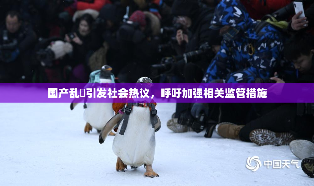 国产乱婬引发社会热议，呼吁加强相关监管措施