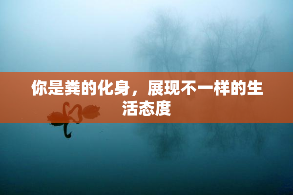 你是粪的化身，展现不一样的生活态度