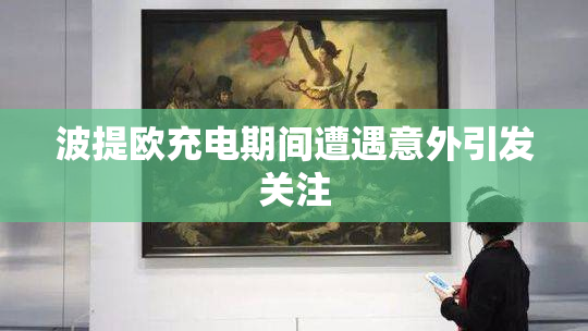 波提欧充电期间遭遇意外引发关注