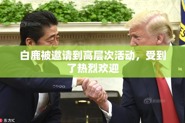 白鹿被邀请到高层次活动，受到了热烈欢迎