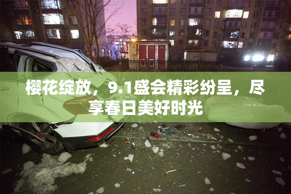 樱花绽放，9.1盛会精彩纷呈，尽享春日美好时光